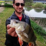 perche pris au drop shot vers manié raise fishing