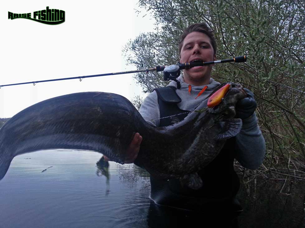 test leurre WESTIN SWIM raise fishing l'expérience de la pêche au silure en lorraine