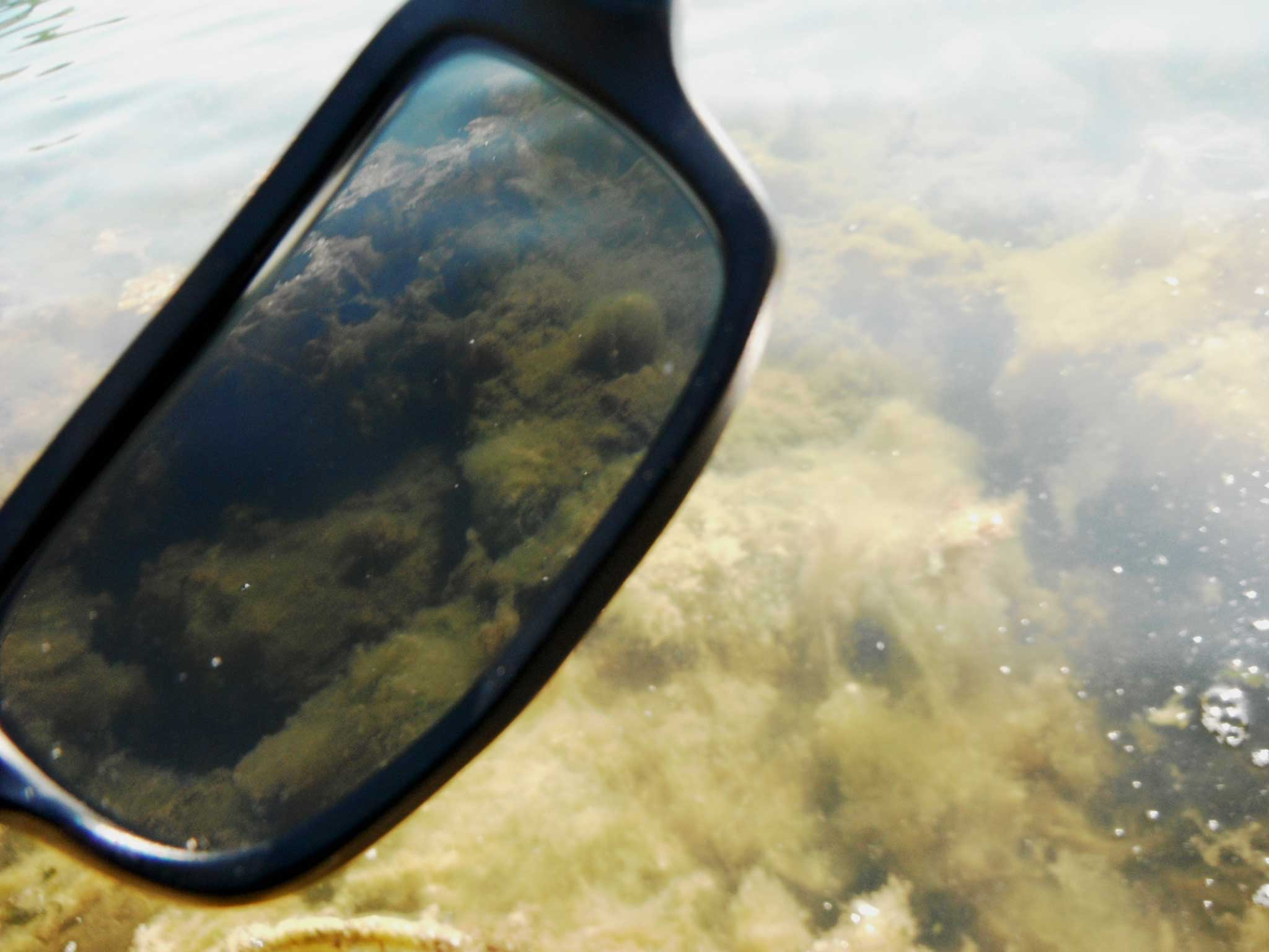 Les lunettes polarisantes pour une pêche plus efficace