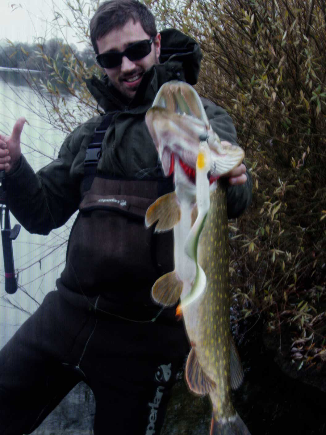 Leurre Dur Savage Gear 3D Eel – 17 Cm – Anguille – Appât Pêche – Neuf
