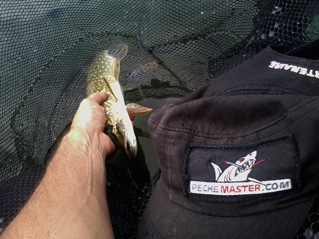 mini-brochet-raisefishing