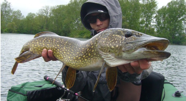 Tout savoir sur la pêche du brochet en traction, conseils, leurres, animations