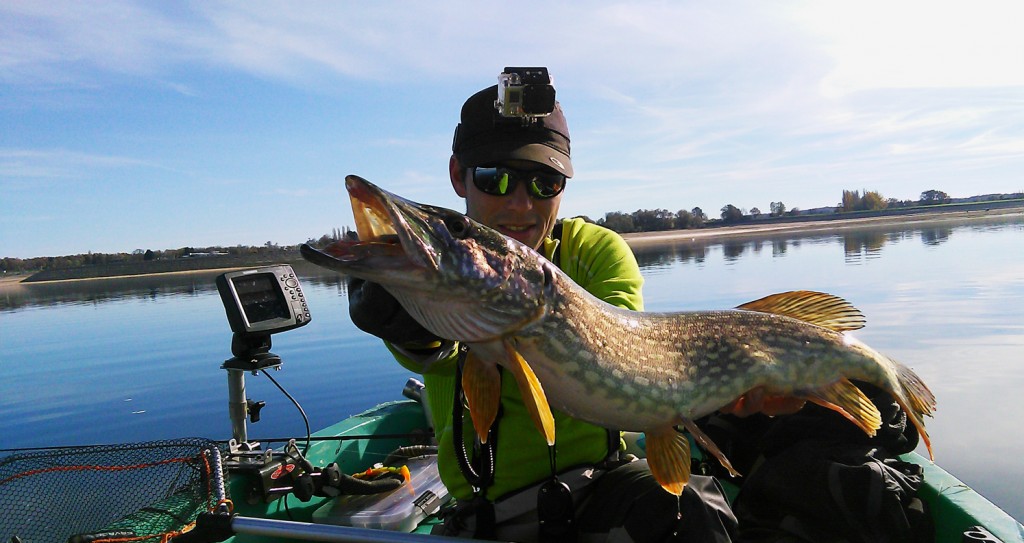 bien présenter son poisson