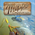 catalogue de pêche mepps 2016