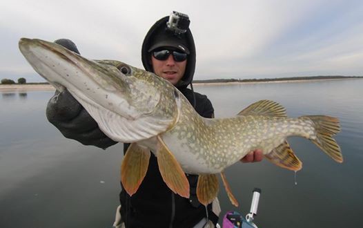 Bien présenter son poisson