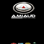 catalogue amiaud 2017