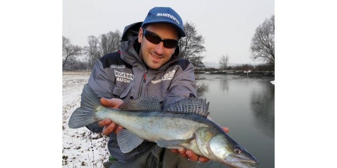 Le ver manié, l’incontournable pour pêcher en période hivernale