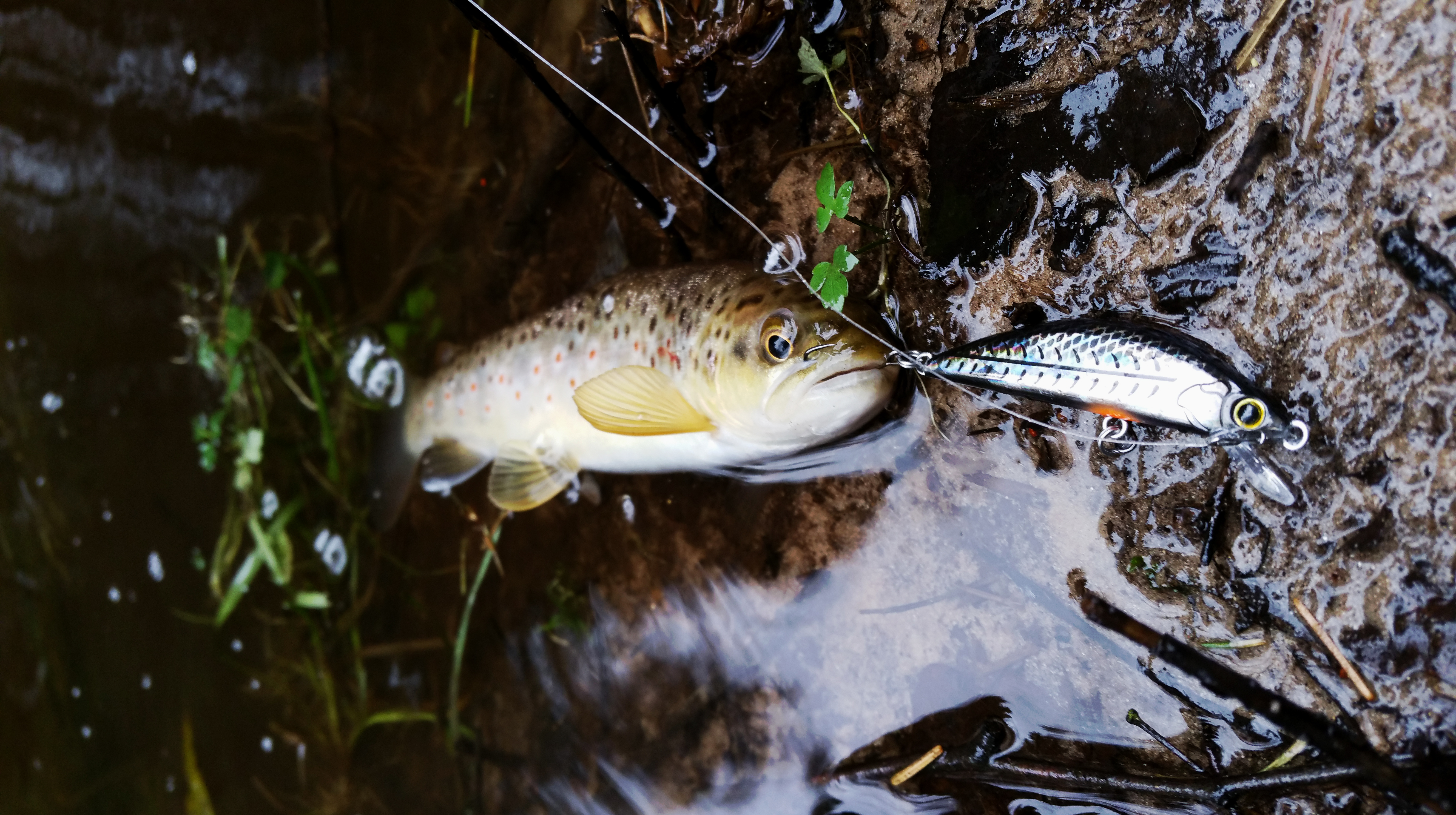 Débuter la pêche Une boite de leurres à truite pour moins de 50€