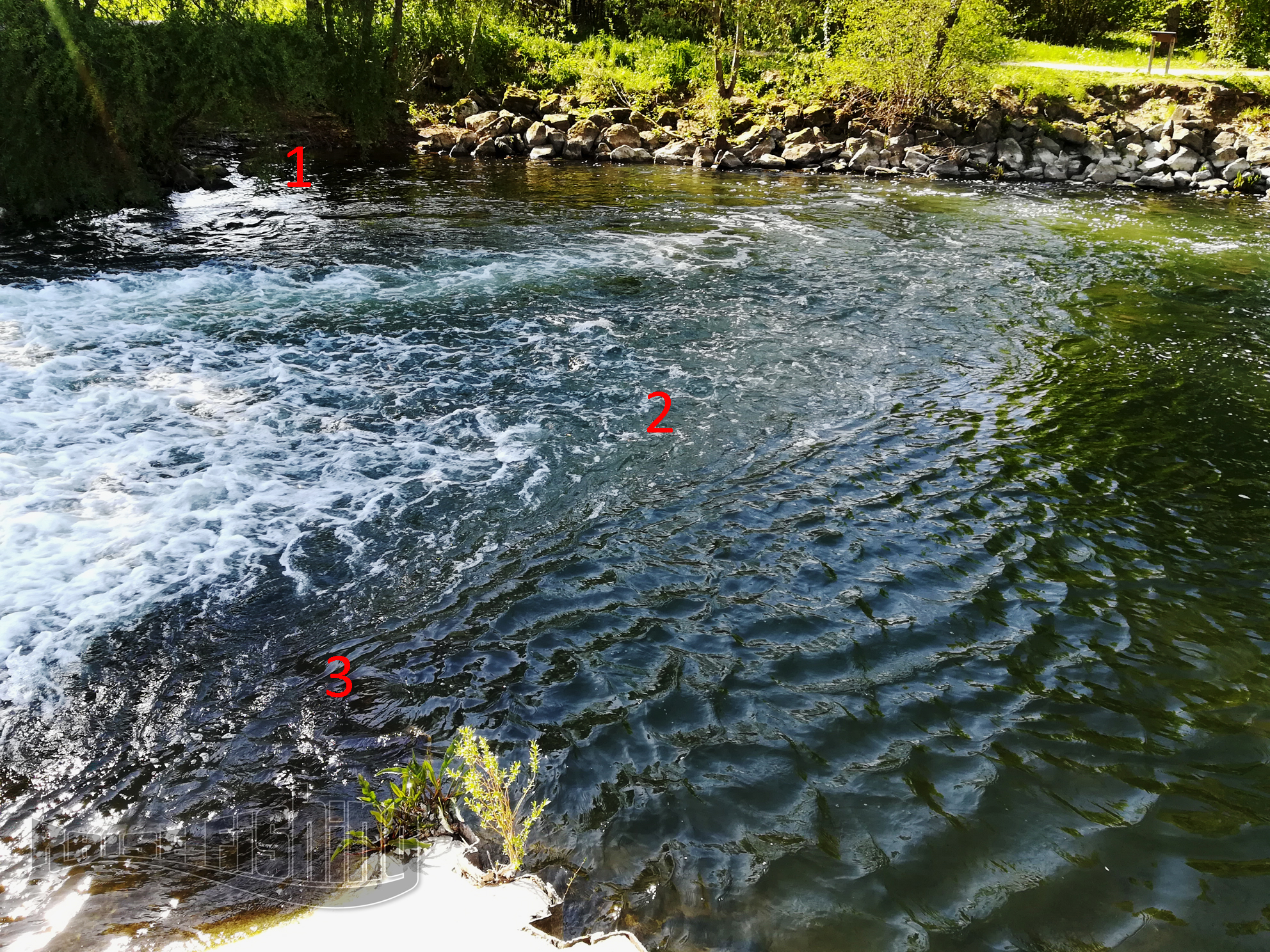 chercher les postes à brochet sandre perche