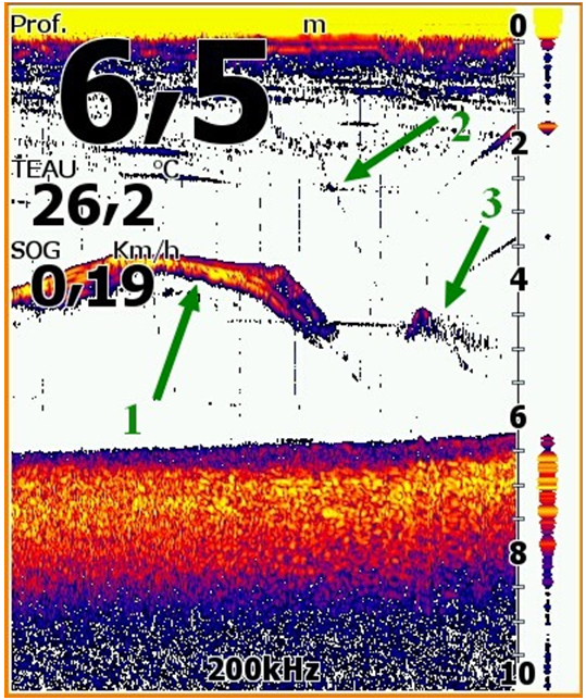 lecture-ecosondeur-lowrance