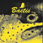 baetis-peche-2018