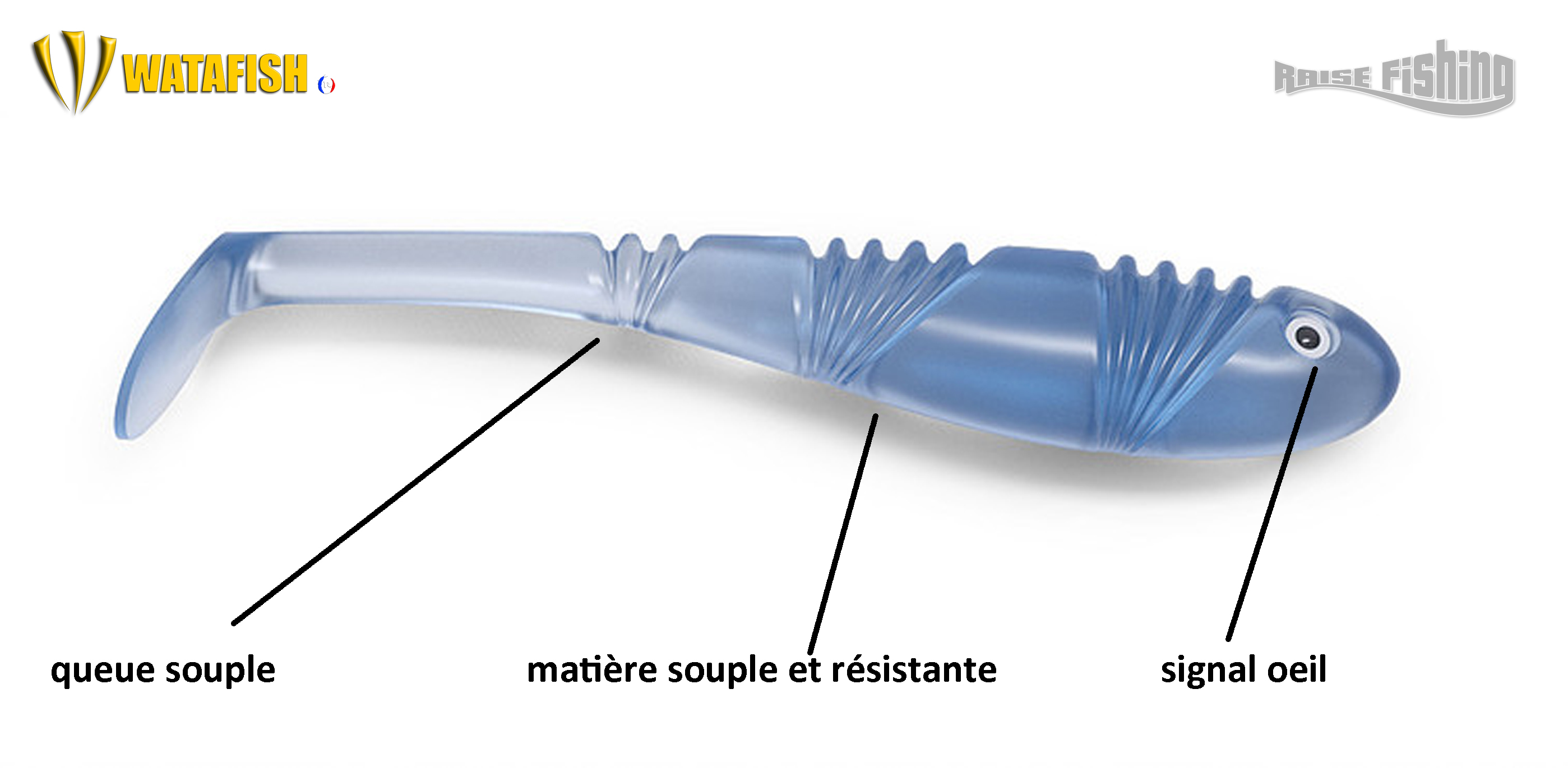 avis-leurre-grooveperch