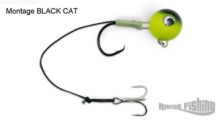 plomb fireball silure