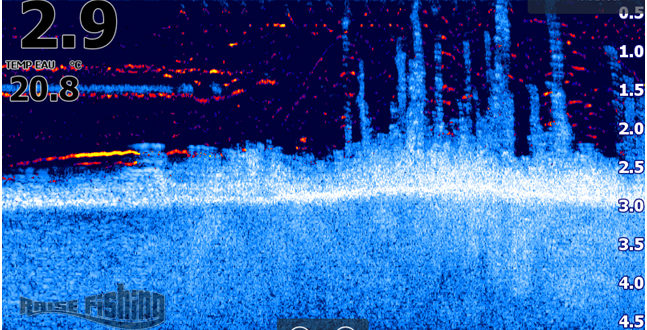 Nouvelle mise à jour Lowrance, avec le Fish Reveal