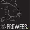 prowess carpe 2019