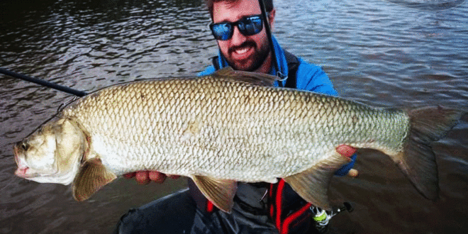 J'ai testé pour vous la pêche au gros