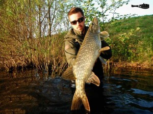 big-pike 