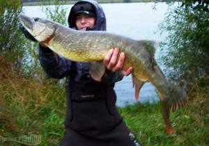 brochet-1m-moselle-raise-fishing 