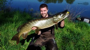 brochet-au-Freddy-210 