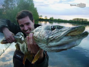 brochet-au-leurre-fox 