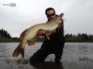 brochet-au-leurre-raisefishing        