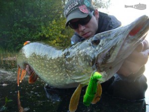 brochet-meuse-raise-fishing 