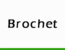 Brochet