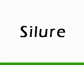 Silure